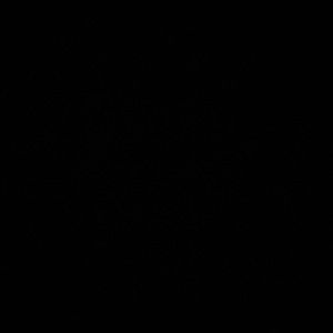 Meet your Posher, Alexia